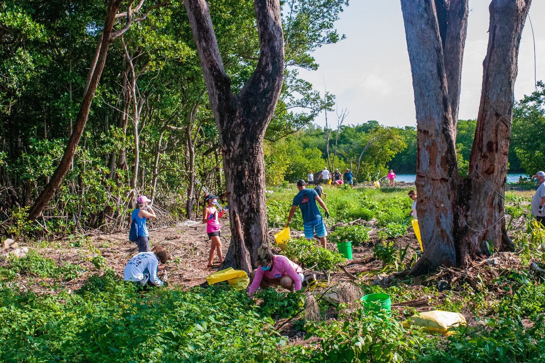 Virginia Key beach clean up celebrates life of Juan Turro